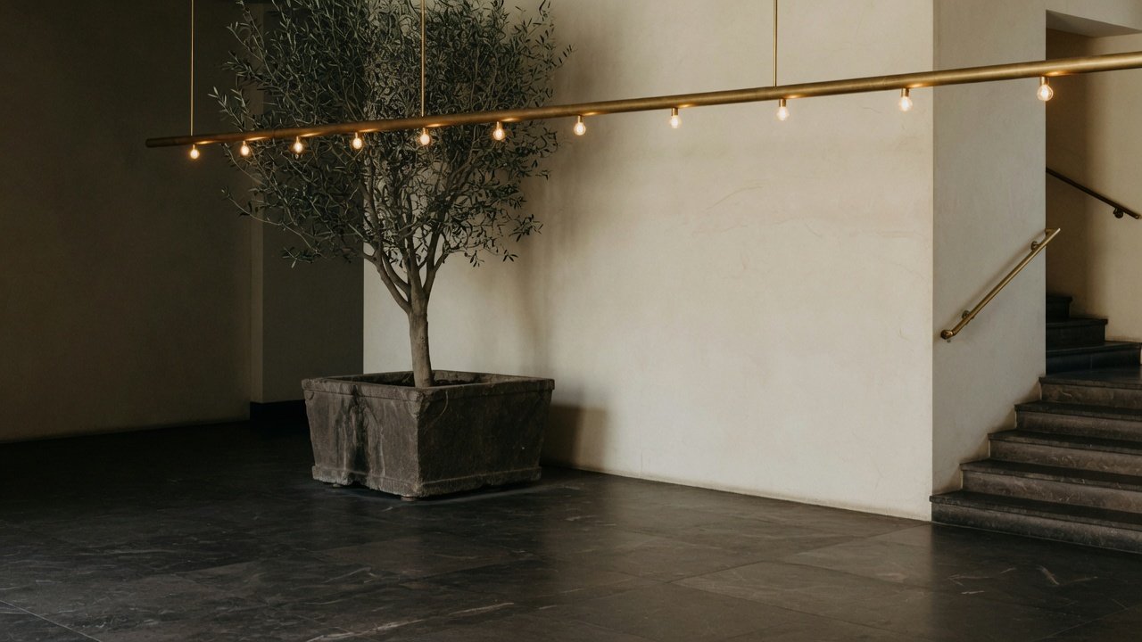 A quiet lobby in dark stone, with an olive tree under a brass light.